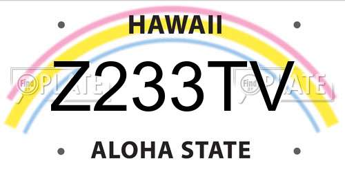 Z233TV Hawaii License Plate