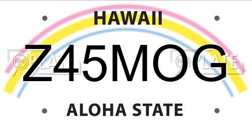 Z45MOG Hawaii License Plate