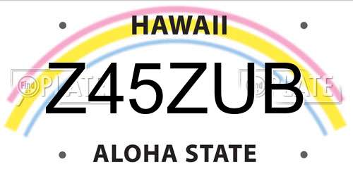 Z45ZUB Hawaii License Plate