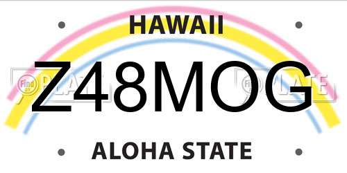 Z48MOG Hawaii License Plate