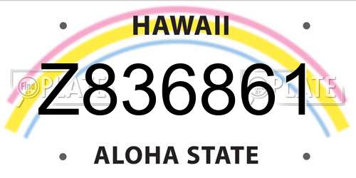 Z836861 Hawaii License Plate