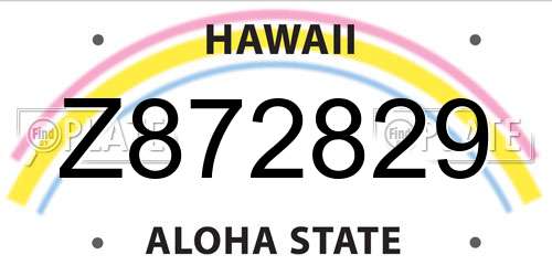 Z872829 Hawaii License Plate