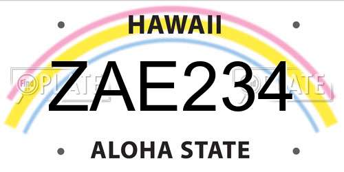 ZAE234 Hawaii License Plate