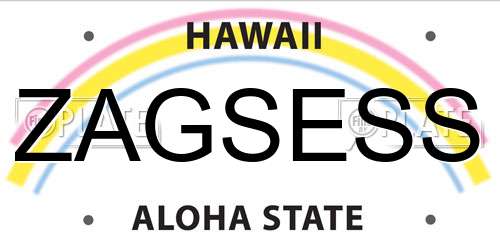 ZAGSESS Hawaii License Plate