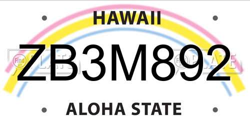 ZB3M892 Hawaii License Plate