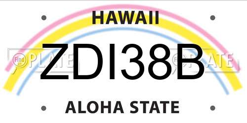 ZDI38B Hawaii License Plate