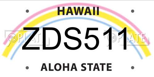 ZDS511 Hawaii License Plate