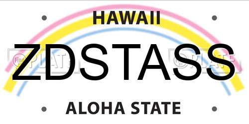 ZDSTASS Hawaii License Plate