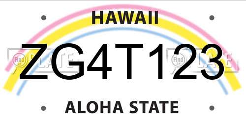 ZG4T123 Hawaii License Plate