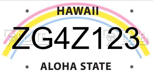 ZG4Z123 Hawaii License Plate