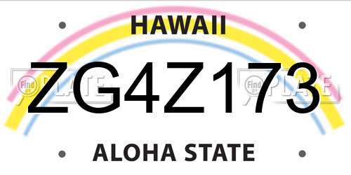 ZG4Z173 Hawaii License Plate