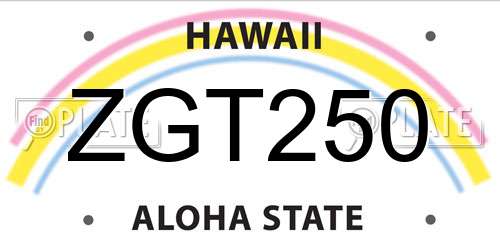 ZGT250 Hawaii License Plate