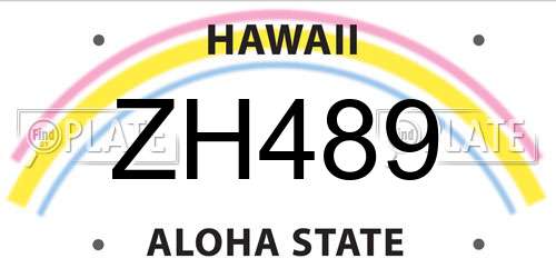 ZH489 Hawaii License Plate