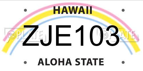 ZJE103 Hawaii License Plate