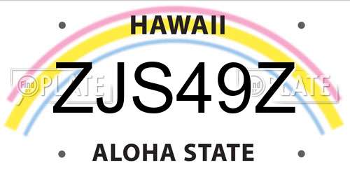 ZJS49Z Hawaii License Plate