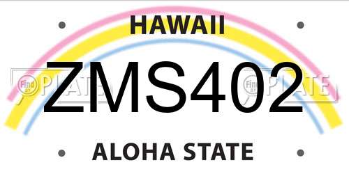 ZMS402 Hawaii License Plate