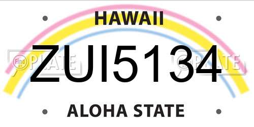 ZUI5134 Hawaii License Plate