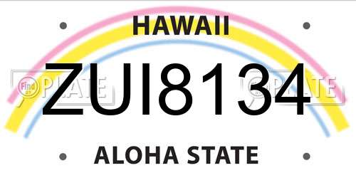 ZUI8134 Hawaii License Plate