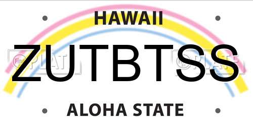 ZUTBTSS Hawaii License Plate