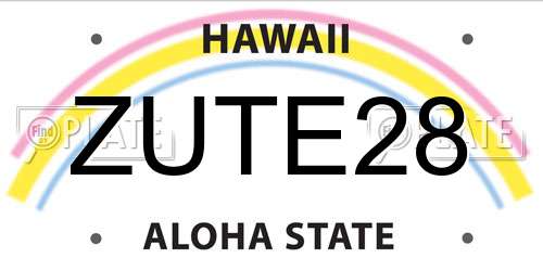 ZUTE28 Hawaii License Plate