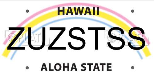 ZUZSTSS Hawaii License Plate