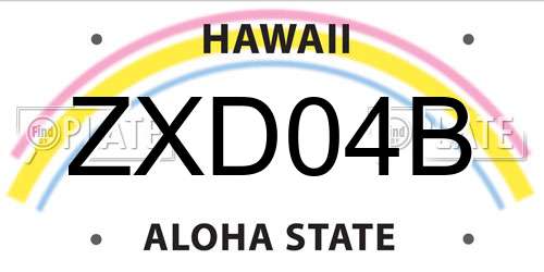 ZXD04B Hawaii License Plate