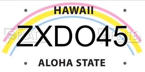 ZXDO45 Hawaii License Plate