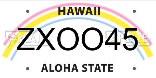 ZXOO45 Hawaii License Plate