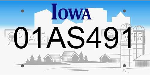 01AS491 Iowa License Plate