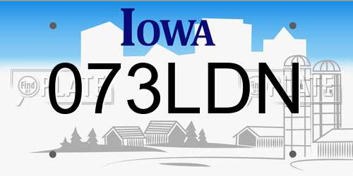 073LDN Iowa License Plate