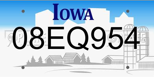 08EQ954 Iowa License Plate