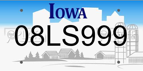 08LS999 Iowa License Plate
