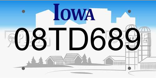 08TD689 Iowa License Plate