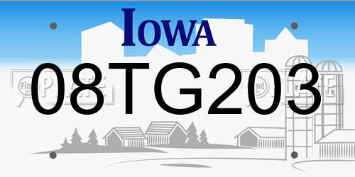 08TG203 Iowa License Plate