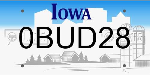 0BUD28 Iowa License Plate