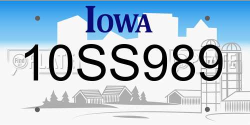 10SS989 Iowa License Plate
