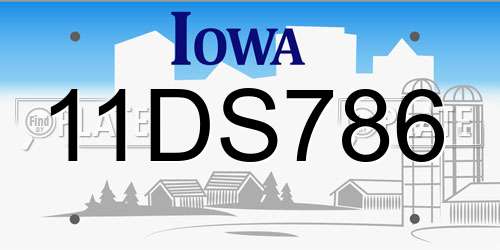11DS786 Iowa License Plate