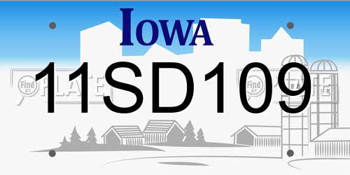 11SD109 Iowa License Plate