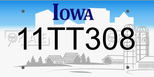 11TT308 Iowa License Plate