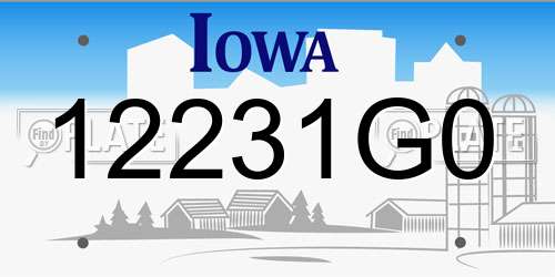 12231G0 Iowa License Plate