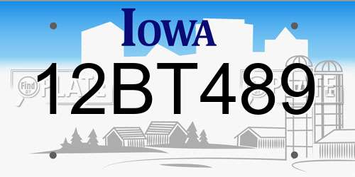 12BT489 Iowa License Plate