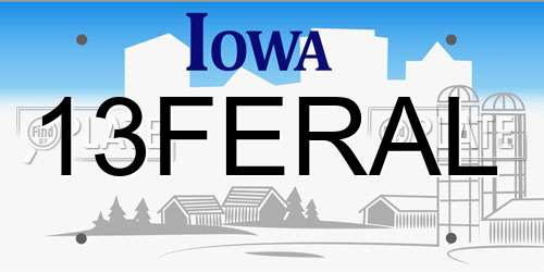 13FERAL Iowa License Plate
