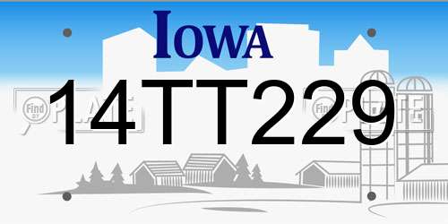 14TT229 Iowa License Plate
