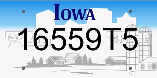 16559T5 Iowa License Plate
