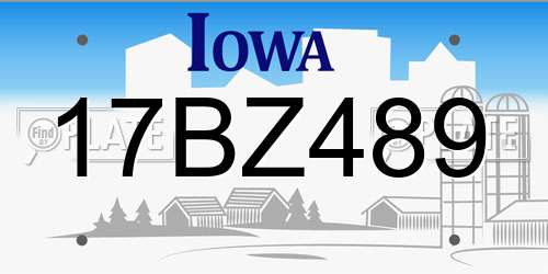 17BZ489 Iowa License Plate