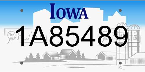 1A85489 Iowa License Plate