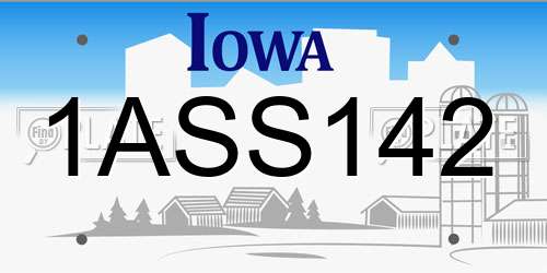 1ASS142 Iowa License Plate