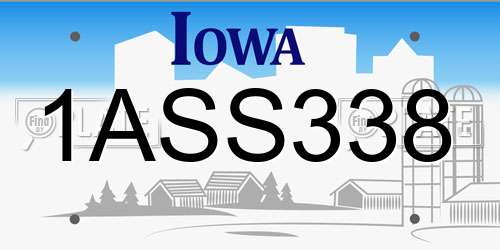 1ASS338 Iowa License Plate
