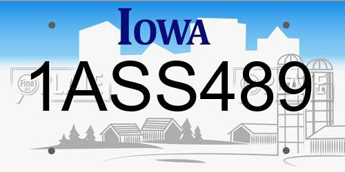 1ASS489 Iowa License Plate
