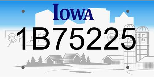 1B75225 Iowa License Plate